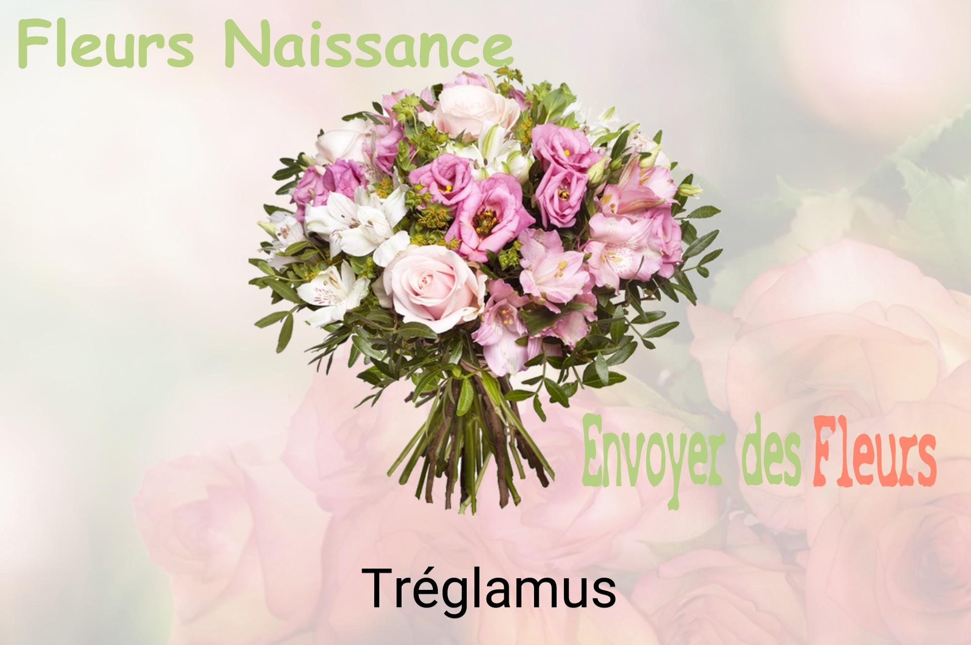 Bouquet de fleurs de naissance livré à Tréglamus