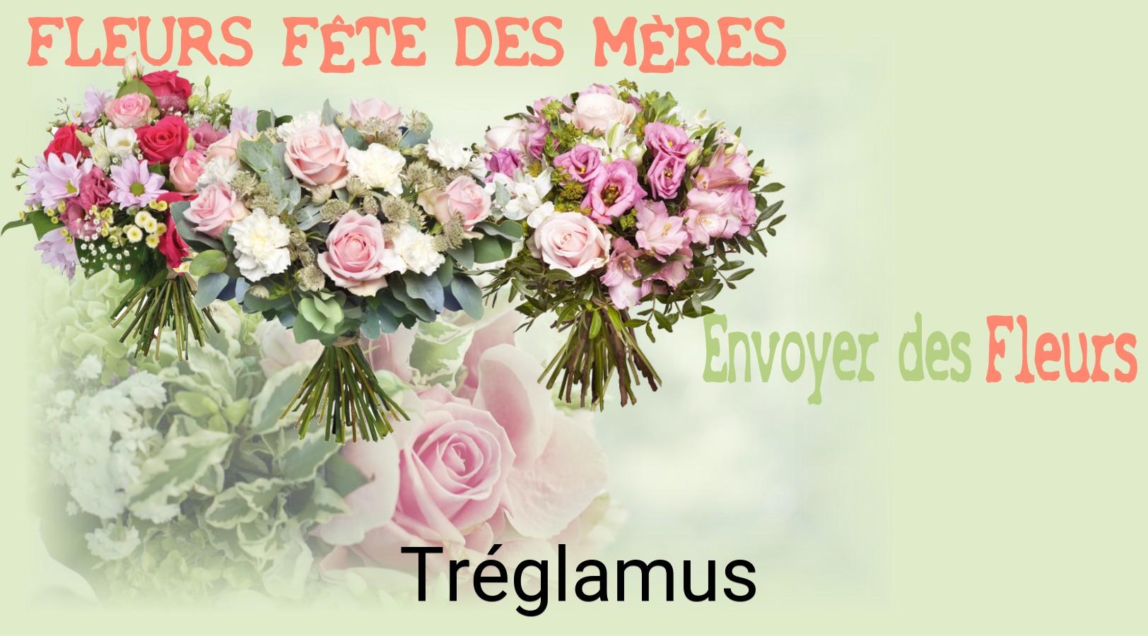 Bouquet de Fête des Mères livré à Tréglamus